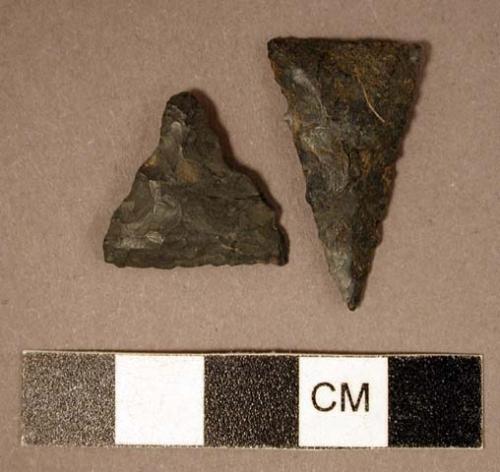 Chipped stone, projectile points, triangular