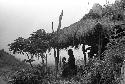 Silhouetted figures under the oléa up behind Homaklep and Wuperainma