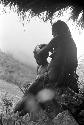 Woman examining child's head under the oléa up behind Homaklep and Wuperainma