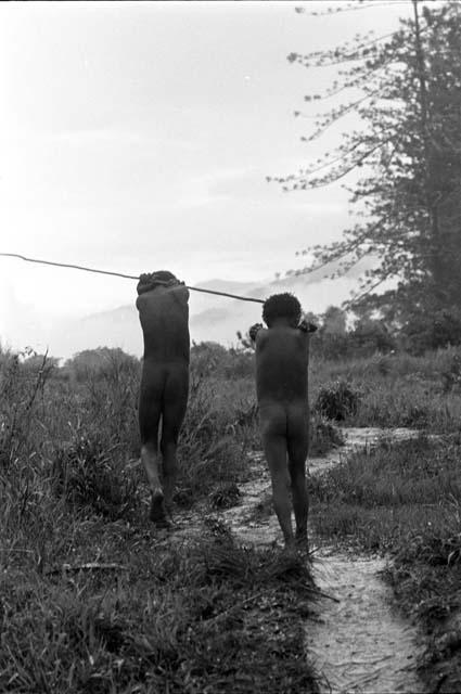 Two boys walking away from camera