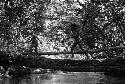 2 people walking across the Elokhere on the tree that has been felled across the river