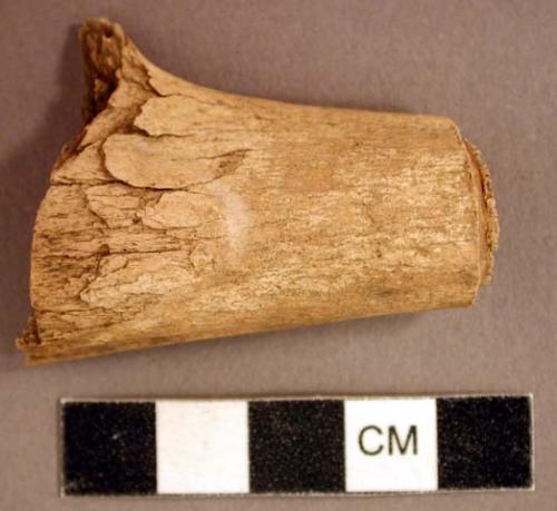 Cut antler fragment