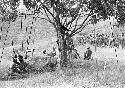 Group of men dancing on the Anelerak seen thru the munika tree; spears in foreground