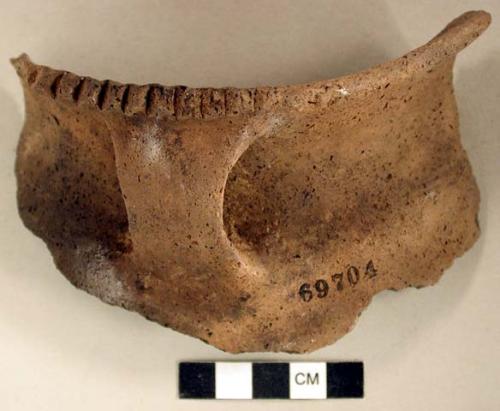 Ceramic, earthenware rim and handle sherd, rim incised above handle, undecorated body, shell-tempered