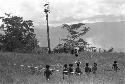 Puakoloba on the day of an Etai before the men have gone over to the Liberek; distance shot of the Etai; many spears over an oléa; men in the kaio