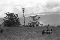 Puakoloba on the day of an Etai before the men have gone over to the Liberek; distance shot of the Etai; many spears over an oléa; men in the kaio