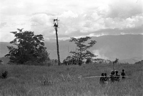 Puakoloba on the day of an Etai before the men have gone over to the Liberek; distance shot of the Etai; many spears over an oléa; men in the kaio