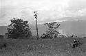 Puakoloba on the day of an Etai before the men have gone over to the Liberek; distance shot of the Etai; many spears over an oléa; men in the kaio