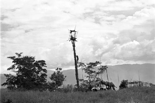 Kaio at Puakoloba; man in it; one person climbing up to it