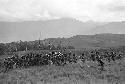 Men dancing from Puakoloba towards the Anelerak