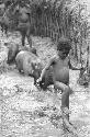 Woman and children leading some pigs behind Homaklep towards the Abukulmo gardens