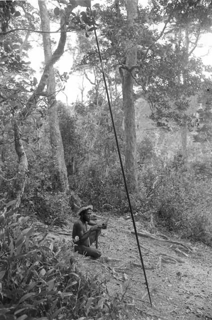 Man sitting in forest