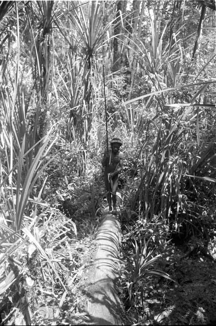 Man walking through forest