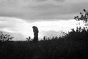 Man silhouetted against a late evening sky