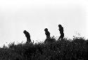 3 little boys walking along; hands behind their necks on the salt trail going south