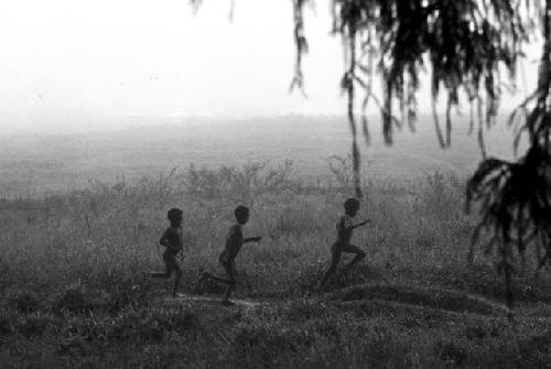 3 little boys running along the trail outside of Homoak seen thru the sien trees