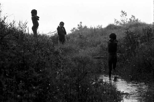 Boys in the spring of Homoak; as it goes out into the Alima gardens