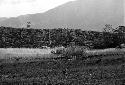 Puakoloba against the Surbara; women working the fields in the foreground