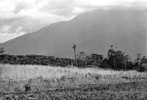 A man in a kaio at Puakoloba; gardens in the forerground; no one working