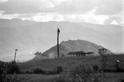 The olea; fire under it; man in the kaio; Siobara