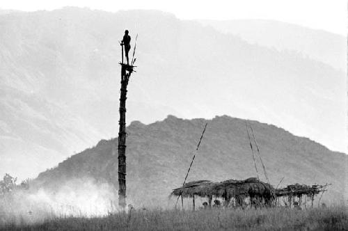 Man standing in kaio; oléa and spears around it; Siobara in the background