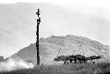 Man standing in kaio; oléa and spears around it; Siobara in the background