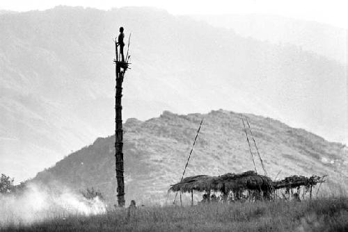 Man standing in kaio; oléa and spears around it; Siobara in the background