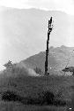 Man standing in kaio; oléa and spears around it; Siobara in the background