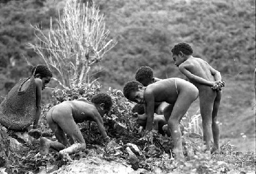 children digging