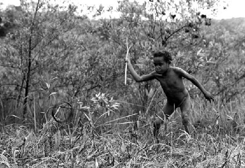 Tukom about to spear a hoop; from behind