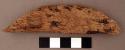 Fragment of ironwood, banana-shaped. l: 10.7 cm. potter's paddle (fewkes)