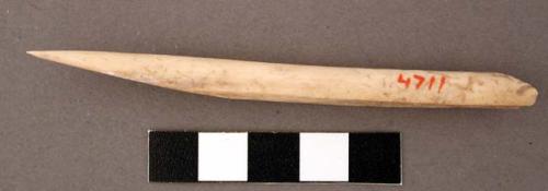 Bone point, split lengthwise and broken at one end