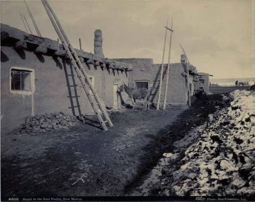 Street in the Zuni Pueblo, and a donkey