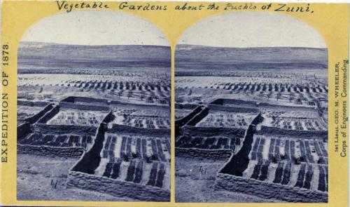 Vegetable gardens about the Pueblo of Zuni