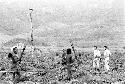 View towards the Anelerak near Wali's kaio; warriors in foreground; Karl Heider and Robert Gardner in the middleground