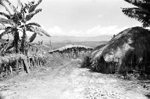 Weaklekek walking out of the sili of Homaklep