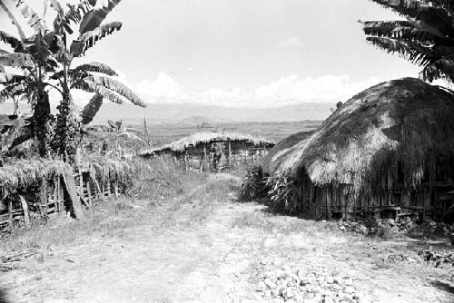 Weaklekek walking out of the sili of Homaklep