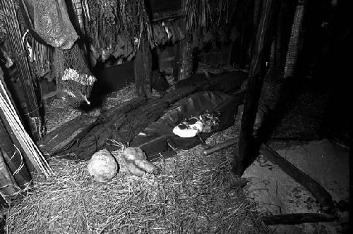 Meat on a banana leaf in back of the honai near the hakok or cupboard where the holy stones are kept