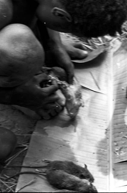 3 young boys taking the guts out of mice, which will be cooked and eaten