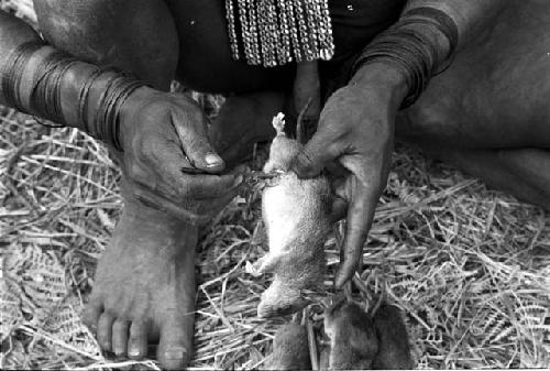 A man taking the guts out of mice, which will be cooked and eaten