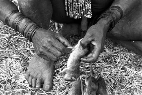 A man taking the guts out of mice, which will be cooked and eaten