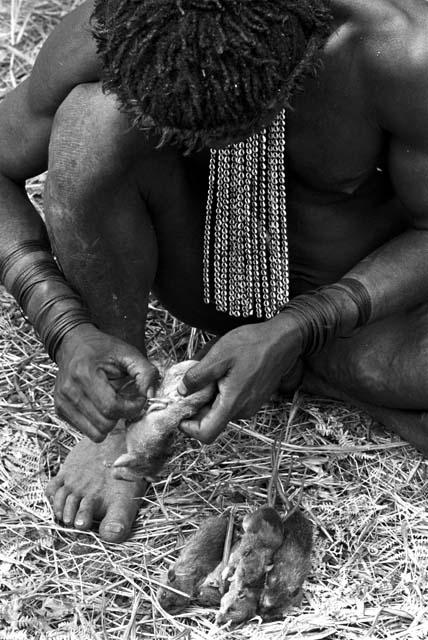 A man taking guts out of the rats