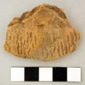Ceramic, earthenware body sherd, cord-impressed and punctate decorated