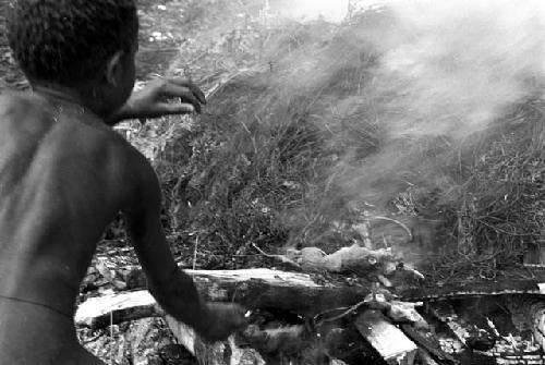 A boy puts rats on the fire