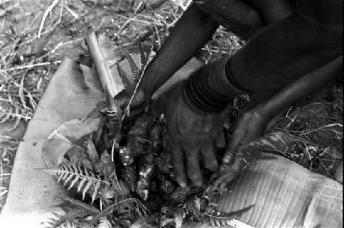 Handful of charred rats put into ferns to be wrapped up