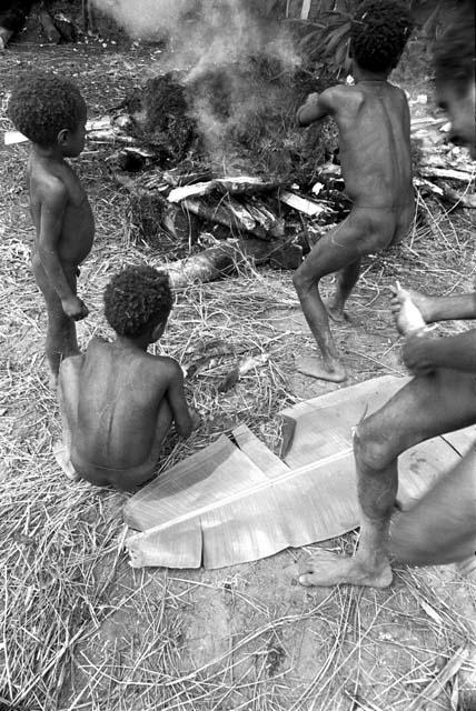 Boys singeing the rats in the back of Abulupak in the sili