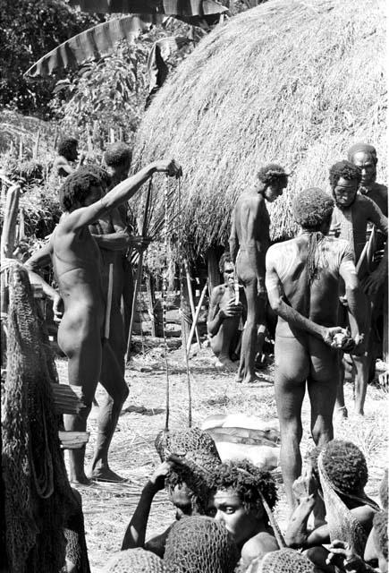 Men take cowrie shells; going to bring them to hang on Weake