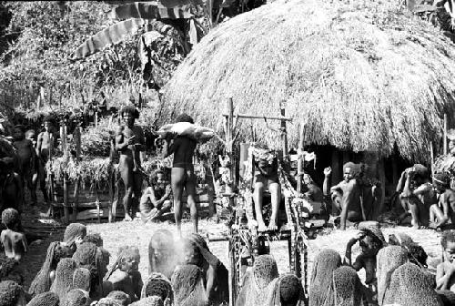 Pigs brought into sili with the pia in the middleground and women in the foreground