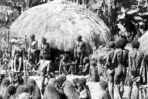 Pigs brought into sili with the pia in the middleground and women in the foreground