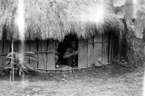 Two men peer from the entrance of a honai in Abulupak